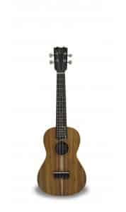 APC CS Concert Ukulele
