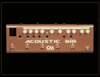 Carl Martin Acoustic Gig